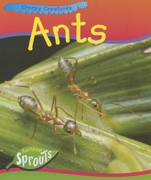 Ants - Sue Barraclough