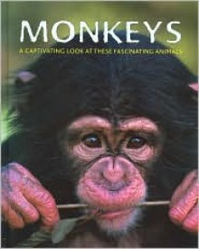 Monkeys - Steve Parker