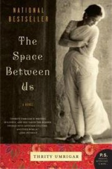 The Space Between Us - Thrity Umrigar