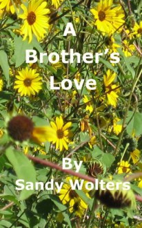 A Brother's Love - Sandy Wolters