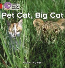 Pet Cat, Big Cat - Alison Hawes