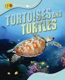 Tortoises And Turtles (Qed Animal Lives) - Sally Morgan