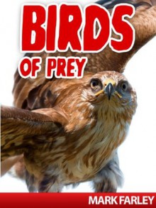 Birds of Prey - Mark Farley