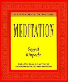 Meditation - Sogyal Rinpoche, Patrick Gaffney, Andrew Harvey