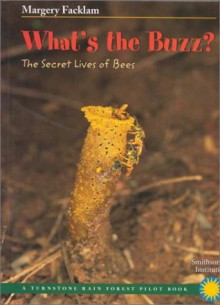 What's the Buzz: The Secret Lives of Bees - Margery Facklam