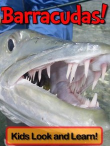 Barracudas! Learn About Barracudas and Enjoy Colorful Pictures - Look and Learn! (50+ Photos of Barracudas) - Becky Wolff