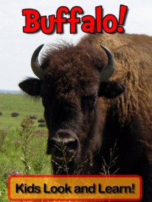 Buffalo! Learn About Buffalo and Enjoy Colorful Pictures - Look and Learn! (50+ Photos of Buffalo) - Becky Wolff