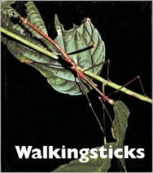 Walkingsticks - Patrick Merrick