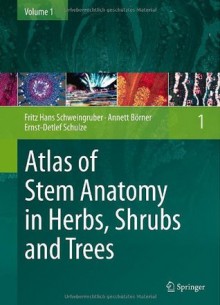 Atlas of Stem Anatomy in Herbs, Shrubs and Trees: Volume 1 - Fritz Hans Schweingruber, Annett Borner, Ernst-Detlef Schulze