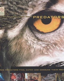 The Natural History Museum Book Of Predators - Steve Parker