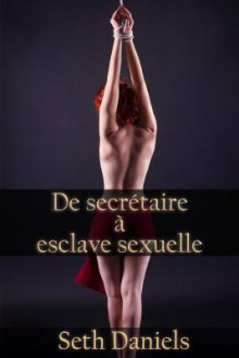 de Secretaire a Esclave Sexuelle: Une Fantaisie Bdsm - Seth Daniels