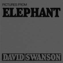 Pictures from Elephant - David Swanson