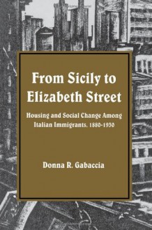 From Sicily to Elizabeth Street: Housing and Social Change Among Italian Immigrants, 1880-1930 (Suny Series in American Social History) (Suny Series, American Social History) - Donna R. Gabaccia