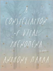 A Constellation of Vital Phenomena: A Novel - 