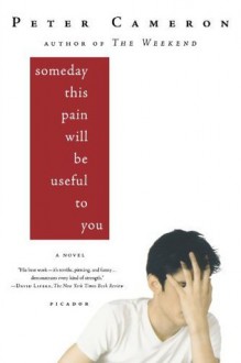 Someday This Pain Will Be Useful to You: A Novel - Peter Cameron