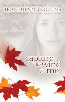 Capture the Wind for Me (Bradleyville series, #3) - Brandilyn Collins