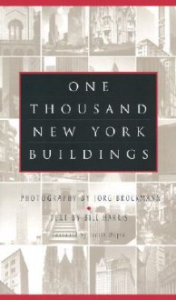 One Thousand New York Buildings - Jorg Brockmann