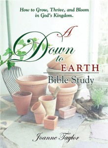 A Down to Earth Bible Study - Joanne Taylor