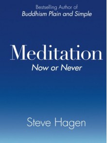 Meditation Now or Never - Steve Hagen