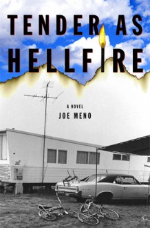 Tender as Hellfire: A Novel - Joe Meno