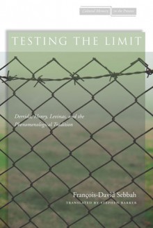 Testing the Limit: Derrida, Henry, Levinas, and the Phenomenological Tradition - Francois-David Sebbah, Stephen Barker