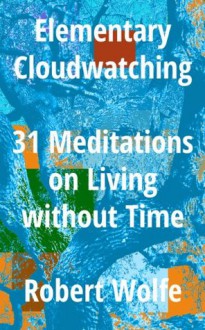 Elementary Cloudwatching: 31 Meditations on Living without Time - Robert Wolfe