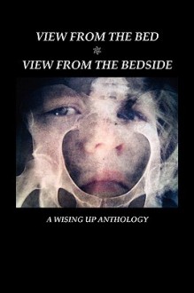 View from the Bed: View from the Bedside - Heather Tosteson, Phyllis A. Langton, Charles D. Brockett