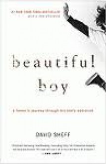 Beautiful Boy: A Father's Journey Through His Son's Addiction - David Sheff