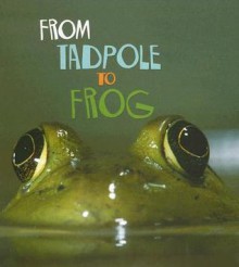 From Tadpole to Frog - Anita Ganeri