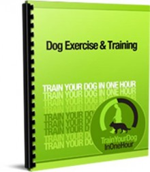 Dog Health: Exercise, Sports and Training: Improve your dog's health through Dog Sports, Exercise and Games (Train Your Dog In One Hour) - Train Your Dog In One Hour