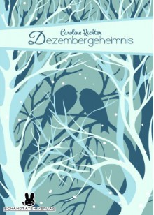 Dezembergeheimnis - Caroline Richter