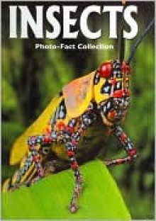 Insects (A smart start reader) - John Grassy