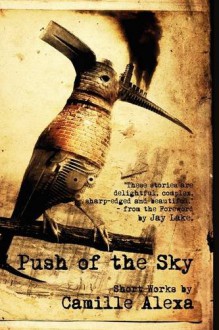 Push of the Sky - Camille Alexa