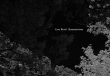 Romanticism - Lou Reed