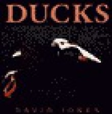 Ducks - David Jones