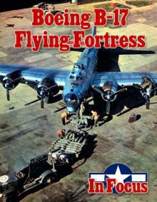 Boeing B-17 Flying Fortress in Focus - Ray Merriam