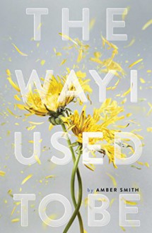 The Way I Used to Be - Amber Smith