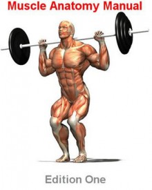 Muscle Anatomy Manual - Gareth Thomas