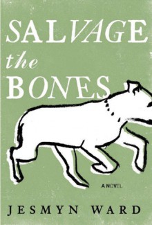 Salvage the Bones - Jesmyn Ward