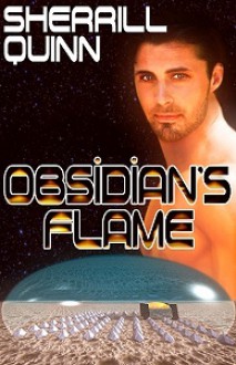 Obsidian's Flame - Sherrill Quinn