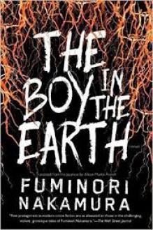 The Boy in the Earth - Fuminori Nakamura, Allison Markin Powell