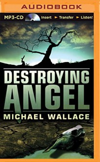 Destroying Angel (Righteous Series) - Michael Wallace, Arielle DeLisle