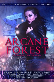 Arcane Forest Anthology: Get Lost in Worlds of Fantasy and Awe - No Sweat Graphics, Karin De Havin, W.J. May, Emma Shade, C.J. Pinard, Natasha Brown, Kaitlyn Davis, Chrissy Peebles, Kristen Middleton, Kate Thomas