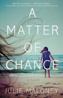 A Matter of Chance: A Novel - Julie Maloney