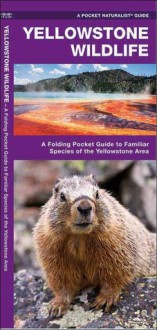 Yellowstone Wildlife: A Folding Pocket Guide to Familiar Animals of the Yellowstone Area - James Kavanagh, Raymond Leung