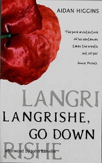 Langrishe, Go Down - Aidan Higgins