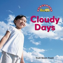 Cloudy Days - Trudi Trueit