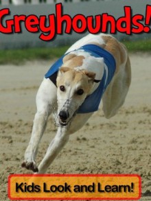 Greyhounds! Learn About Greyhounds and Enjoy Colorful Pictures - Look and Learn! (50+ Photos of Greyhounds) - Becky Wolff