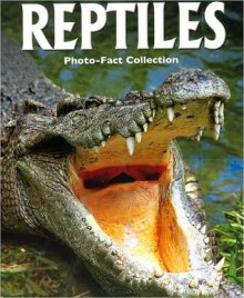 Reptiles - Robert Matero