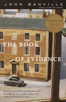 The Book of Evidence (Vintage International) - John Banville